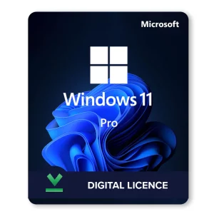 Windows 11 Professional